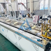 Machine de fabrication de profilés pour clôtures, rampes et planchers en composite bois-plastique PE WPC