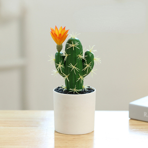 Mini <span class=keywords><strong>Cactus</strong></span> Artificial en Maceta, Planta Artificial en Recipiente de Plástico, Decoración de Oficina, Adornos Pequeños Creativos, Directo de Fábrica - Product Image 4