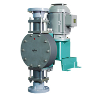 CHEMICAL DOSING DISINFECTION DOSING METERING PUMP DIAPHRAGM PUMP