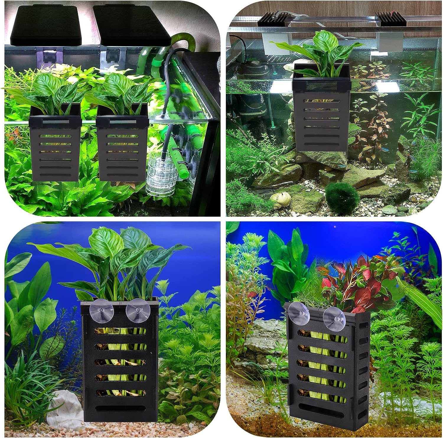 Supporto Per Piante Da Acquario Jaxbo Da Appendere In Plastica - Vaso Sospeso Per Piante Vive Con 5 Fori - 5