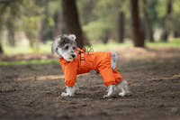 Vêtement de Pluie Imperméable pour Chien avec Harnais, Combinaison Intégrale 4 Pattes Réfléchissante pour Petits et Grands Chiens, Vente en Gros B2B