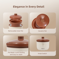 Casserole électrique portable avec couvercle en céramique, pot extérieur en plastique de 2,5 litres, cuiseur lent manuel pour usage domestique