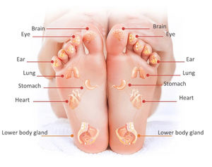 Plate-forme d'acupression rotative masseur de pieds multi-réglage chauffant Shiatsu électrique pétrissage stimulateur de points d'acupuncture masseur de pieds - Product Image 5