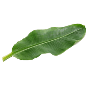 Extracto de Hoja de Plátano 10:1, Polvo de Hoja de Plátano Soluble en Agua, Extracto de Hoja de Plátano - Product Image 1