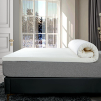 Surmatelas en mousse à mémoire de forme pure de 2 pouces Couverture en bambou blanc Couvre-matelas viscoélastique portable antistatique à rebond lent