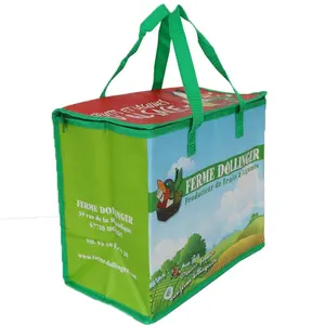 France市場カスタマイズグッド品質ウェビング配管pp織布食料品断熱トートクーラーショッピングバッグ