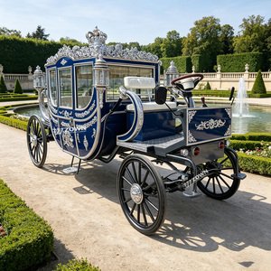 ZOWN Fabricante Profesional de Carruajes Eléctricos para Caballos, Carroza Real, Carro de Paseo Turístico, Buggy Romántico para Bodas de 4 Ruedas - Product Image 1