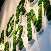 Logo mural vert lumineux 3D personnalisable en LED, lettres en herbe et en mousse, publicité et décoration, panneau d'affichage d'entrée