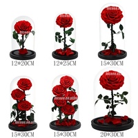 Bestseller - Roses éternelles - Fleurs pour la Saint-Valentin et la fête des mères - Fleurs préservées éternelles - Roses éternelles dans un dôme en verre avec LED
