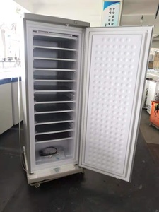 Congelador Vertical Comercial <span class=keywords><strong>de</strong></span> 198L con Energía Solar DC 24V BD-198L, Congelador Vertical con Puerta Única y Ruedas - Product Image 4