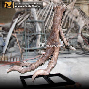MON DINO <span class=keywords><strong>DS118</strong></span> Musée Exposition Réaliste Dinosaure Jambe Fossiles - Product Image 4