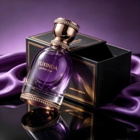 Flacon de parfum de haute qualité en verre vide 30ml 50ml 100ml Flacon de parfum de luxe transparent avec couvercle argenté et boîte