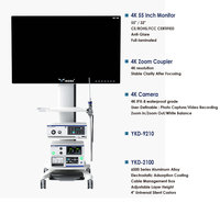 Torre de Laparoscopia Eléctrica IKEDA Full HD 4K, Conjunto Completo, Impermeable IPX8, Monitor de 32/55 Pulgadas, Laparoscopio con Almacenamiento USB