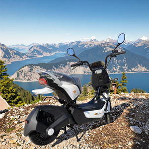 Bicicletta elettrica 48 v20a e <span class=keywords><strong>bike</strong></span> elettrica dirt <span class=keywords><strong>bike</strong></span> a basso prezzo esterno veicolo elettrico 1000W altra bici elettrica - Product Image 2