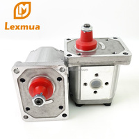 Pompe à engrenages industrielle monophasée pour huile moteur en aluminium certifiée CE Lexmua SGP CBK HGP AZPF PLP PGP