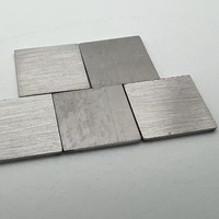 Plaque de platine 99,95 % pure, forme rectangulaire ou ronde, pour usage médical et laboratoire, tablette de platine haute pureté 99,95 %