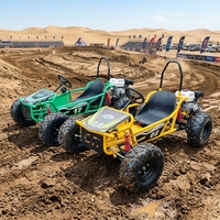 Go Kart de Alta Velocidad, Nuevo, de Fábrica China, Gasolina, 4 Tiempos, 212cc, 70km/h, Frenos de Disco, para Carreras al Aire Libre y Todoterreno