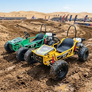 <span class=keywords><strong>Go</strong></span>-<span class=keywords><strong>Kart</strong></span> da Corsa Fuoristrada ad Alta Velocità, Nuovo Modello da Fabbrica Cinese, Motore a Benzina 4 Tempi 212cc, 70km/h, Freni a Disco - Product Image 1