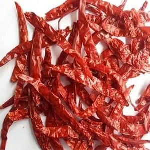 Gousses de paprika Pimento Sweet Paparika Paprica Fournisseur