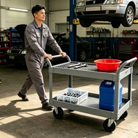 Chariot utilitaire moderne en plastique robuste à double capacité de 550 lb, avec roulettes flexibles et étagères multi-niveaux pour entrepôt et garage