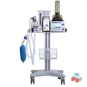 Fabriek Prijs Dierenarts Anesthesie Systeem Ziekenhuis Apparatuur Draagbare Huisdier Veterinaire Anesthesie DM6B