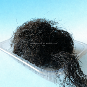 Asperges d'algues séchées Gracilaria rouge nourrissant les algues pour la soupe - Product Image 2