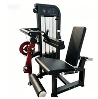 Machine à curls et extensions assises à charge libre DINUO, équipement de musculation pour le bas du corps, idéal pour les salles de sport et clubs.