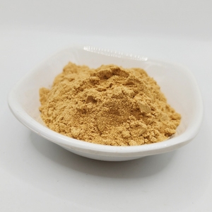 Extracto de <span class=keywords><strong>Agastache</strong></span> 10:1 de calidad alimentaria de venta directa de fábrica en embalaje de tambor en forma de polvo soluble en agua - Product Image 2