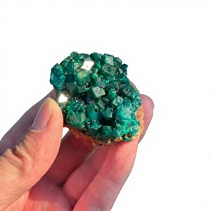 Spécimens de cristal de dioptase naturelle, pierres brutes, vert émeraude, minéral de cuivre pour collectionneurs, vente en gros de minéraux en vrac auprès du fournisseur - Product Image 6