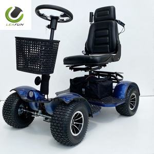 Voiture de golf électrique miniature bon marché populaire Garden Doble 1 place 24V, moteur 1000W - Product Image 6