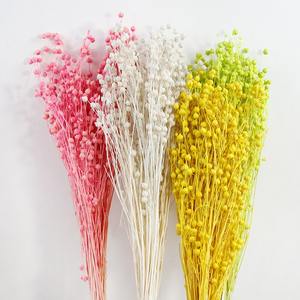 Натуральные сушеные красные стручки акации, 80 г/пучок, для украшения торта - Product Image 2