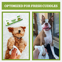 Lingettes pour animaux de compagnie OEM, lingettes nettoyantes pour chiens et chats avec logo personnalisé, sans alcool, hypoallergéniques, résistantes à la léchage, biodégradables pour le toilettage