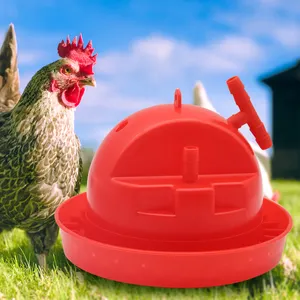 Red Plastic Chicken Bird Poultry Water Trough for Chickens Plasson Water Drinker for Chickens