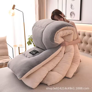 2024 caliente personalizado al por mayor Ultra-suave franela invierno cálido edredón grueso edredón juego de cama edredón - Product Image 4