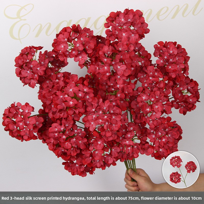 Trois hortensias - rouges