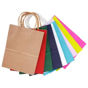 Vente directe en usine de sacs en papier artisanal de couleurs assorties avec poignée torsadée sacs en papier blancs avec poignées