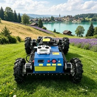 Tondeuse à gazon robotisée Hillside Orchard Special RC, sans fil, tout-terrain, équipement universel de coupe d'herbe pour jardin