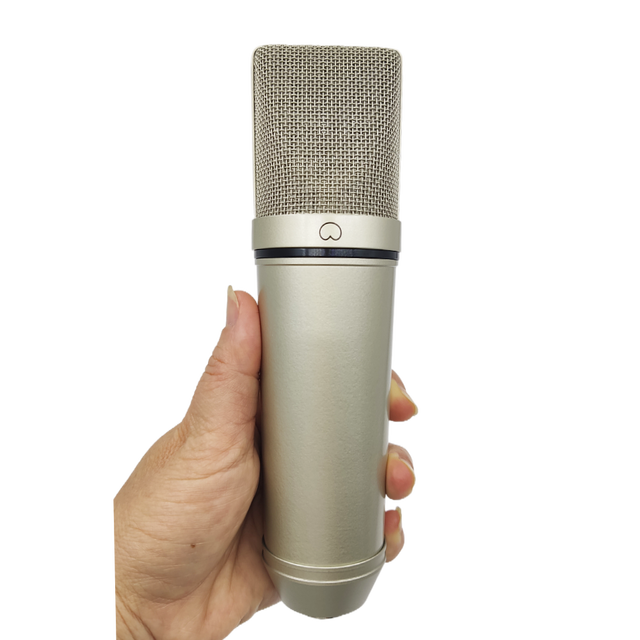 Popular 200 mm Large Diaphragm Studio Recording Cardioid Condenser Microphone For Computer Live Vocal Podcast Sound Card