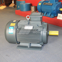 Moteur asynchrone à induction triphasé 220V AC 50Hz 0,75KW/1HP IP55 IE2 à enroulement en cuivre