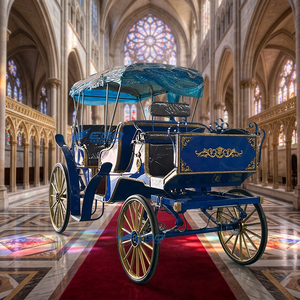 Carrosse de tourisme Victoria à prix d'usine, transport spécial, carrosse de mariage, carrosses électriques à vendre - Product Image 1