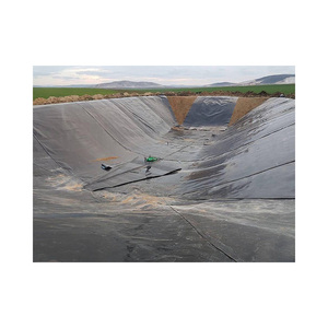 Membrane d'étanchéité souterraine à prix abordable, noir, bleu, vert, membrane anti-humidité DPM, film plastique, géomembrane - Product Image 2