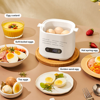 Machine à petit-déjeuner multifonctionnelle intelligente 220V, mini cuiseur à œufs vapeur double couche pour œufs à la coque et œufs cuits à la vapeur, en plastique