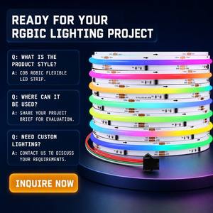 Dream Color Addressable Cob 12V 24V RGBW RGB Streifen Flexible 720/m RGBIC Tira Pixel Stripe Cinta Luces Cob Led Strip Light - Product Image 6