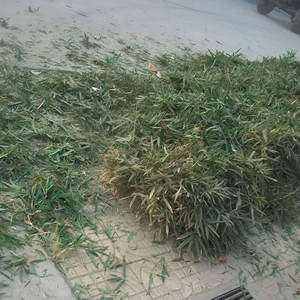 Ventas directas de fábrica Cortacésped de disco de gasolina pequeño Cortacésped de enganche de 3 puntos multiusos con disco - Product Image 3