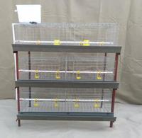 Élevage de poulets Cages à poulets de chair automatiques Équipements de volaille faciles à installer pour un usage domestique