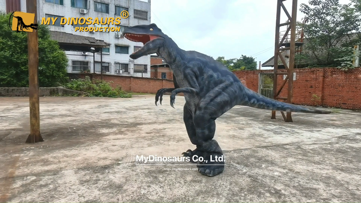 Meu Dino Dinossauro Realista T-rex,Adulto Caminhada - Buy Realistic  Dinosaur Suits,Dinosaur Costume,Dinosaur Costume Stock Product on  Alibaba.com