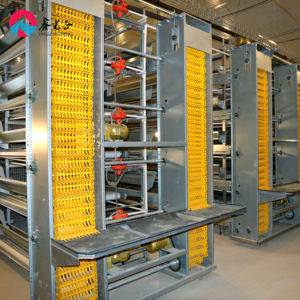 Chất Lượng Cao Ánh Sáng Kết Cấu Thép Gia Cầm Nhà Kim Loại Vật Liệu Xây Dựng Gà Coop - Product Image 4