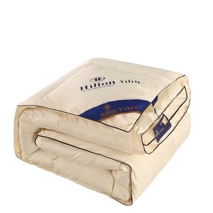 Bán Buôn Mùa Đông Sang Trọng Chăn Chăn Chăn Dày Fluffy 4Kg Sợi Nhỏ Ngỗng Xuống Thay Thế Khách Sạn Giường Trắng Duvet Comforter - Product Image 6