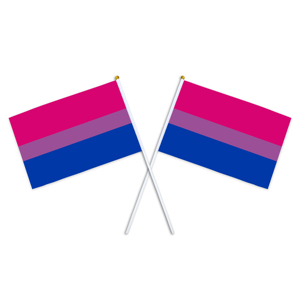 ธงไพรด์ LGBT แบบขายส่ง ธงมินิพกพาสีรุ้งสำหรับงานอีเว้นท์ ทำจากโพลีเอสเตอร์ รับผลิตตามสั่ง - Product Image 1