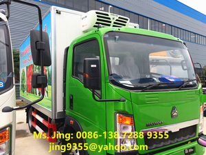 Vérin portable HOWO 5T 4x2, petit camion congélateur pour stockage froid à vendre en amusant - Product Image 6